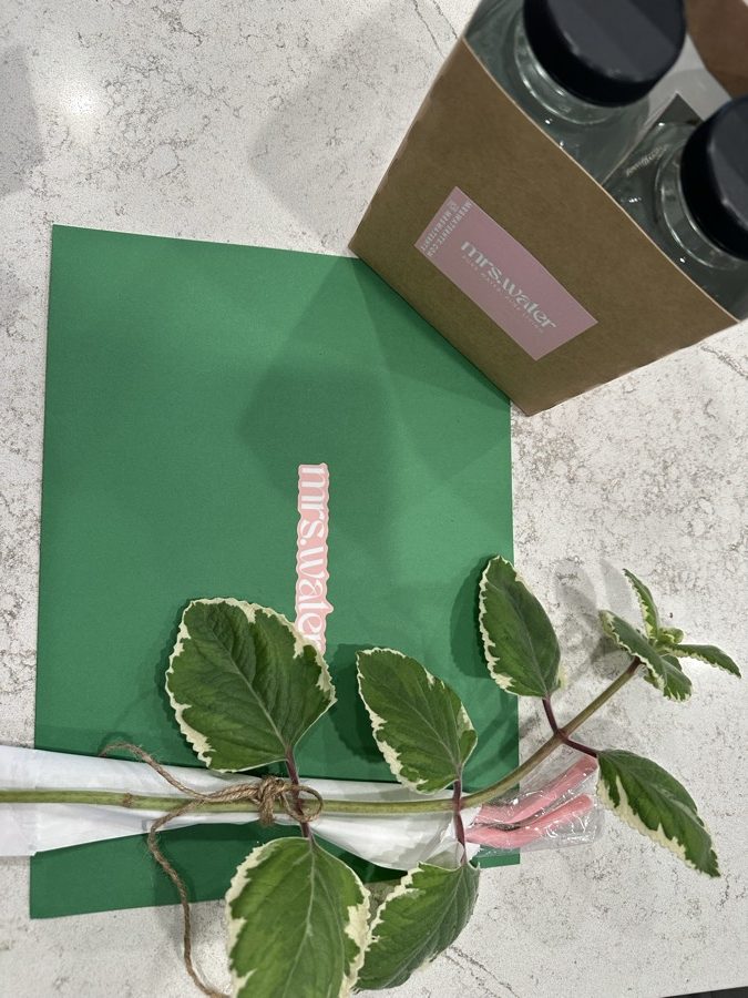 Mrs. Water branded glass bottles in a kraft carrier, beside a plant cutting and green wrapping paper.